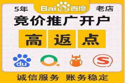 SEM优化策略：案例解读成功之道